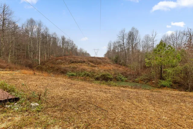 $360,000 | 1363 Bass Layne Road, Gruetli Laager, TN 37339
