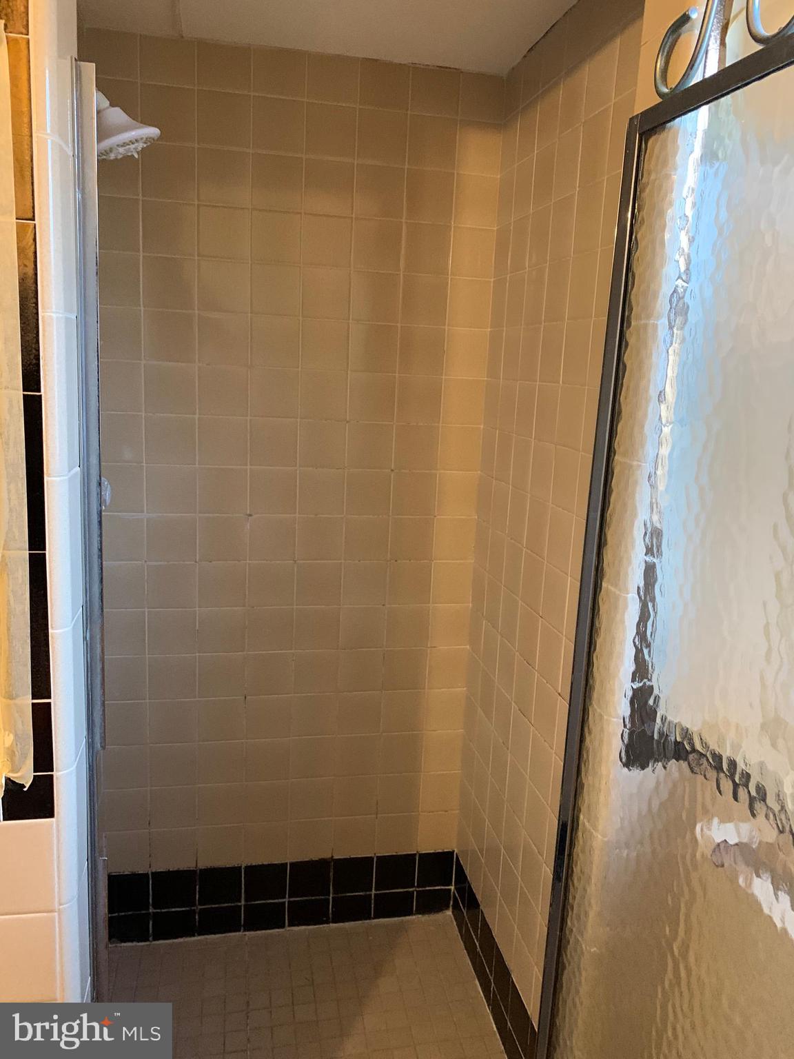 644 South Eagle Road Havertown, PA 19083 - Photo 9 of 26 First floor bathroom shower