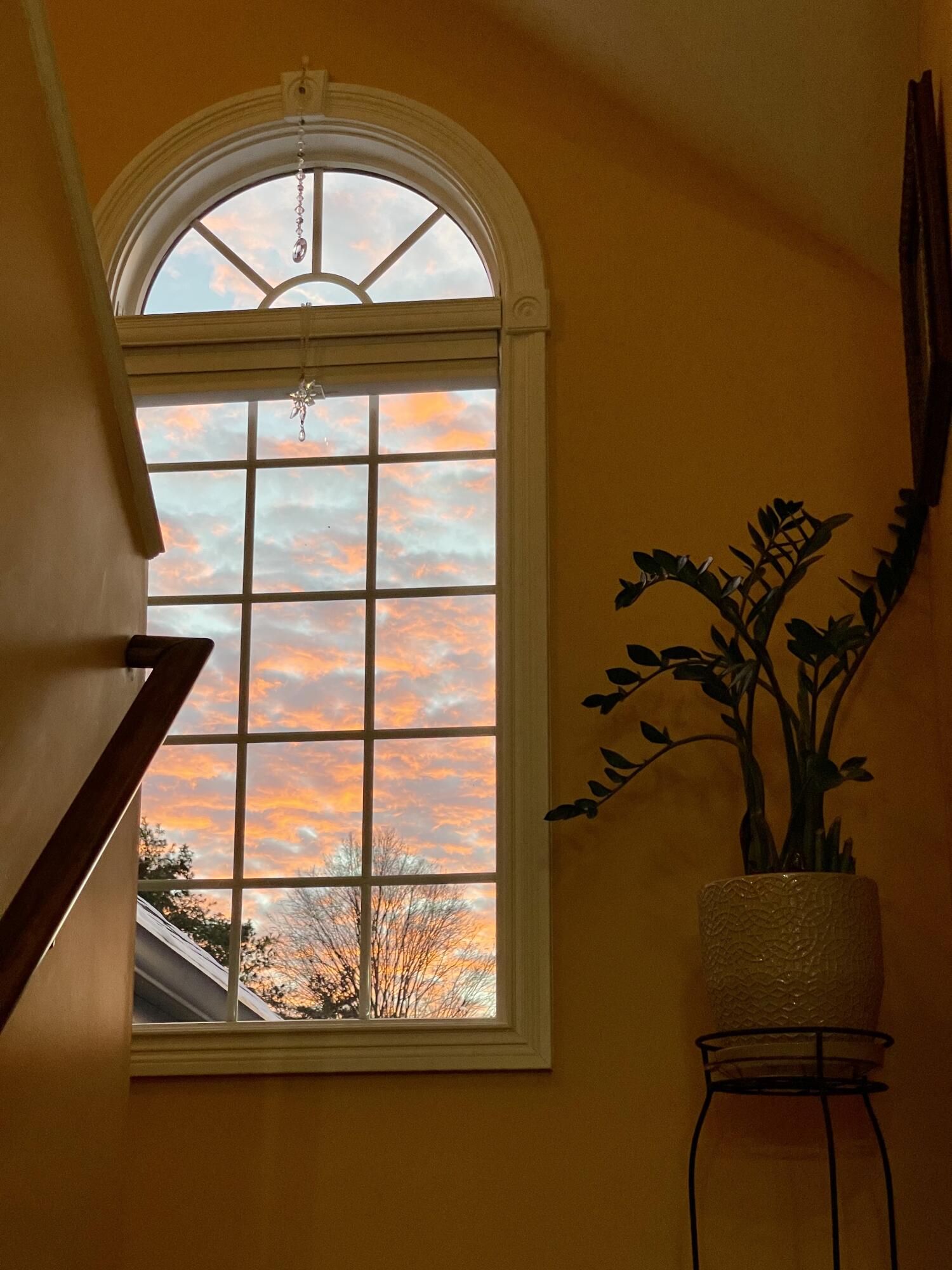 303 Stephen Road Frankfort, KY 40601 - Photo 25 of 43 22