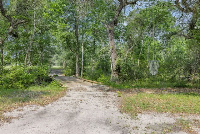 a view of a yard with a tree