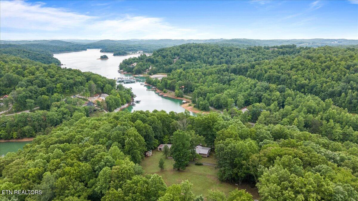 261 Rain Valley Road La Follette, TN 37766 - Photo 4 of 47 06-261 Rain Valley Rd