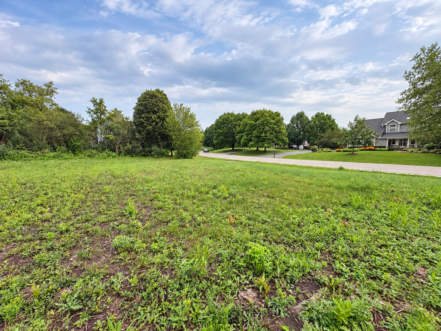45 Squire Road Hawthorn Woods, IL 60047 - Photo 5 of 5 Gallery Image 5