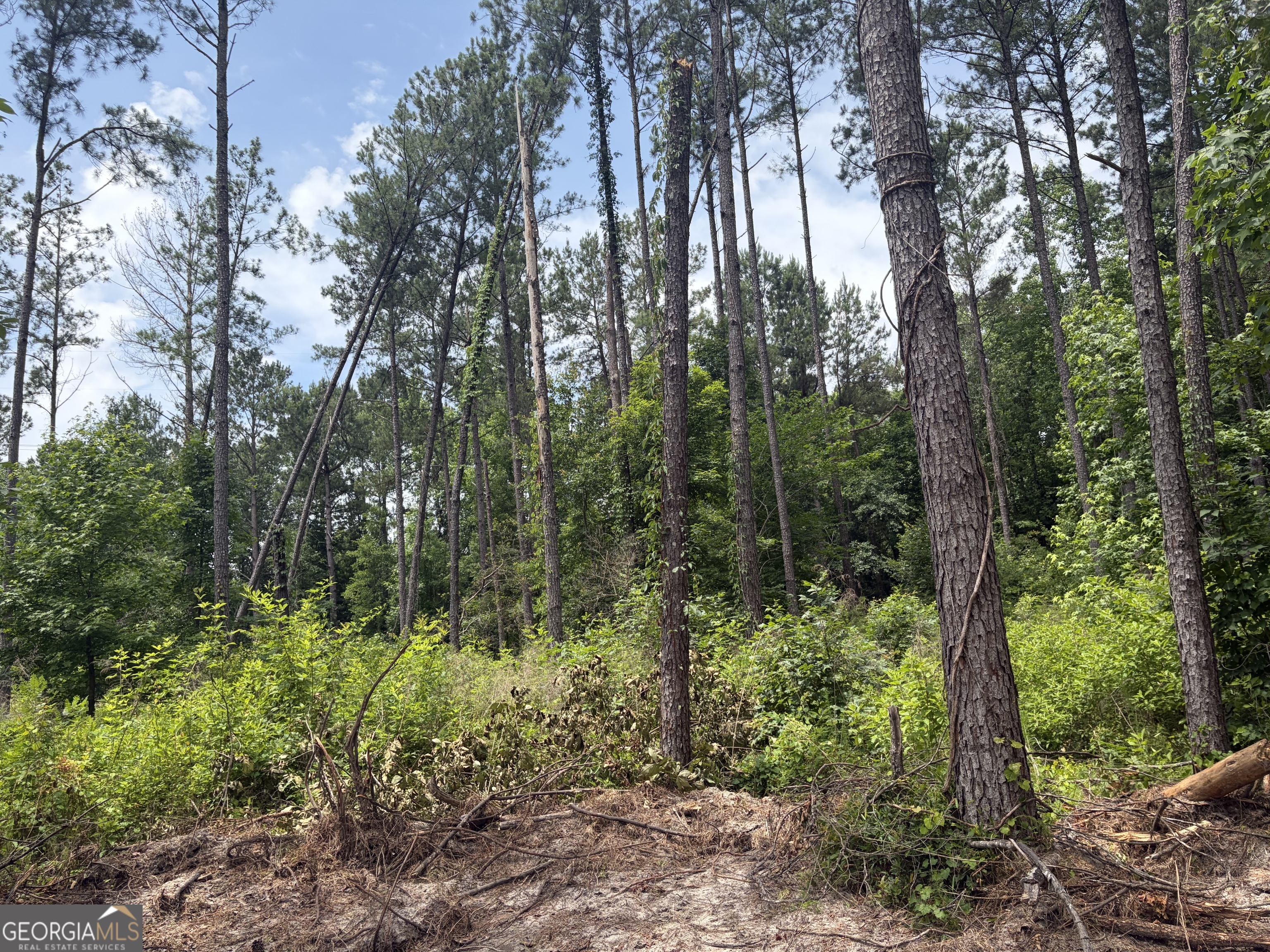 5 Sunhill Grange Road Sandersville, GA 31018 - Photo 1 of 8