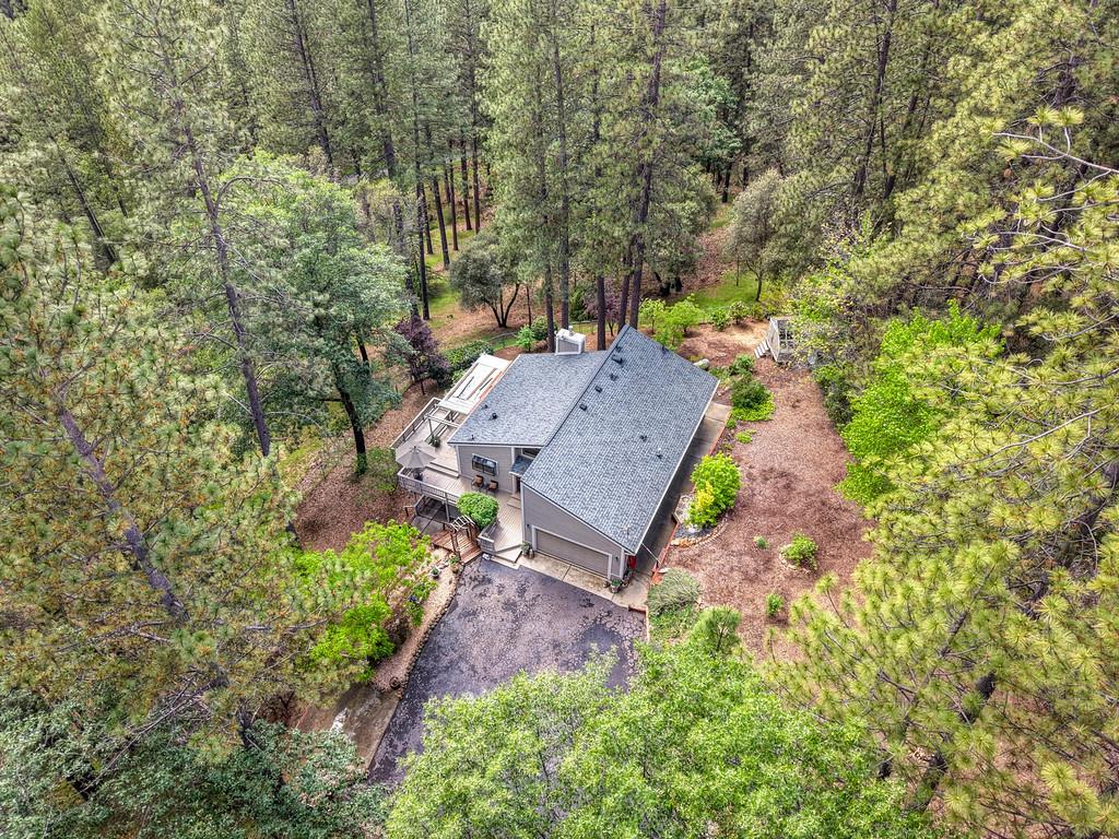 3971 Donner Trail Placerville, CA 95667 - Photo 2 of 78