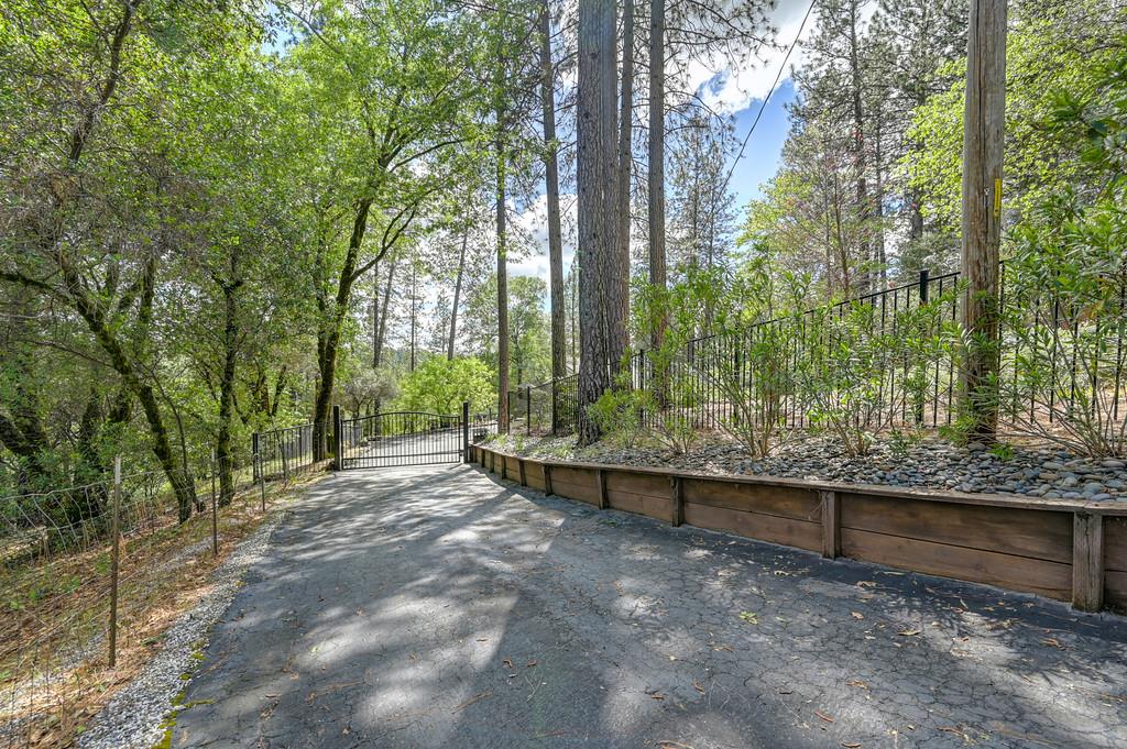 3971 Donner Trail Placerville, CA 95667 - Photo 5 of 78 a view of backyard with green space