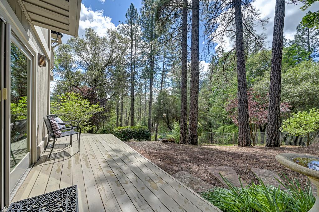 3971 Donner Trail Placerville, CA 95667 - Photo 56 of 78