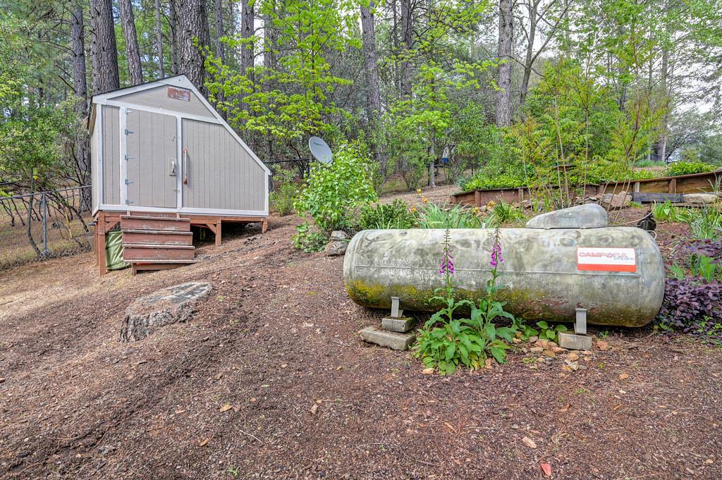 3971 Donner Trail Placerville, CA 95667 - Photo 58 of 78 a view of a backyard with potted plants and large trees