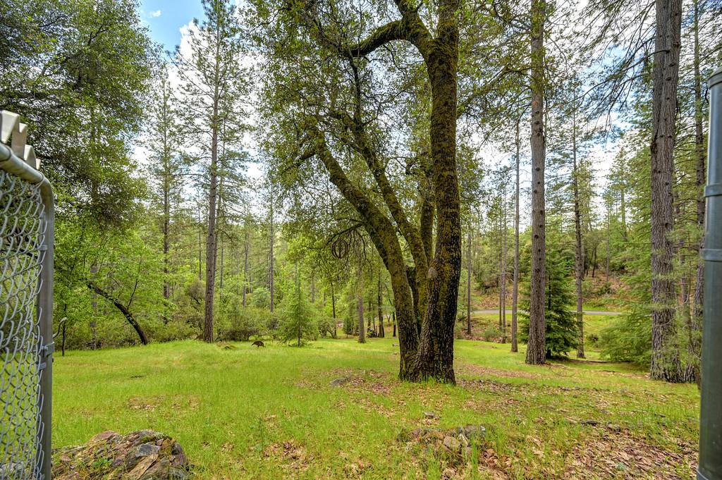 3971 Donner Trail Placerville, CA 95667 - Photo 62 of 78