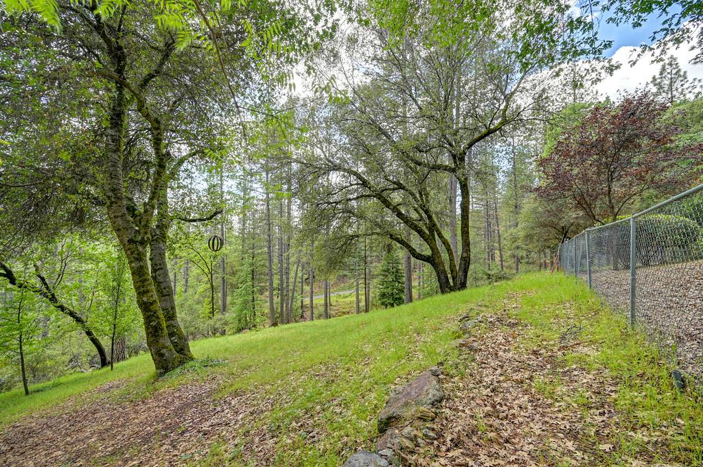 3971 Donner Trail Placerville, CA 95667 - Photo 64 of 78 a view of a yard with large trees
