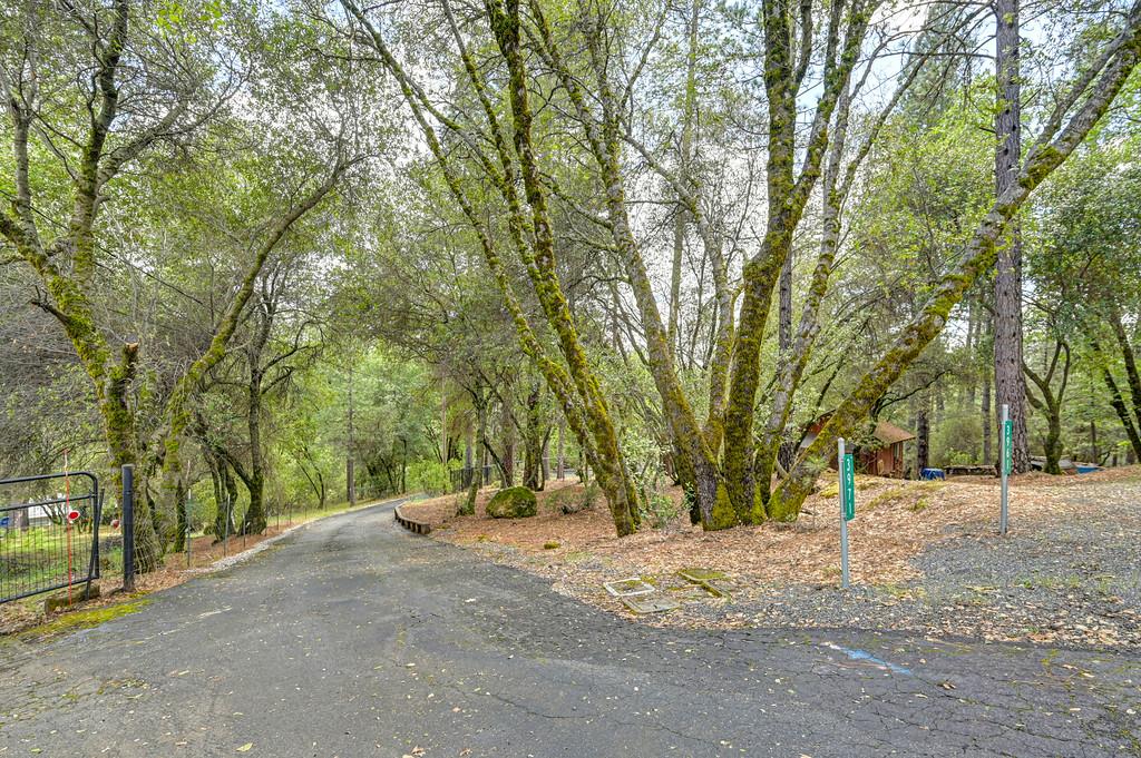 3971 Donner Trail Placerville, CA 95667 - Photo 76 of 78 a view of a road with large trees