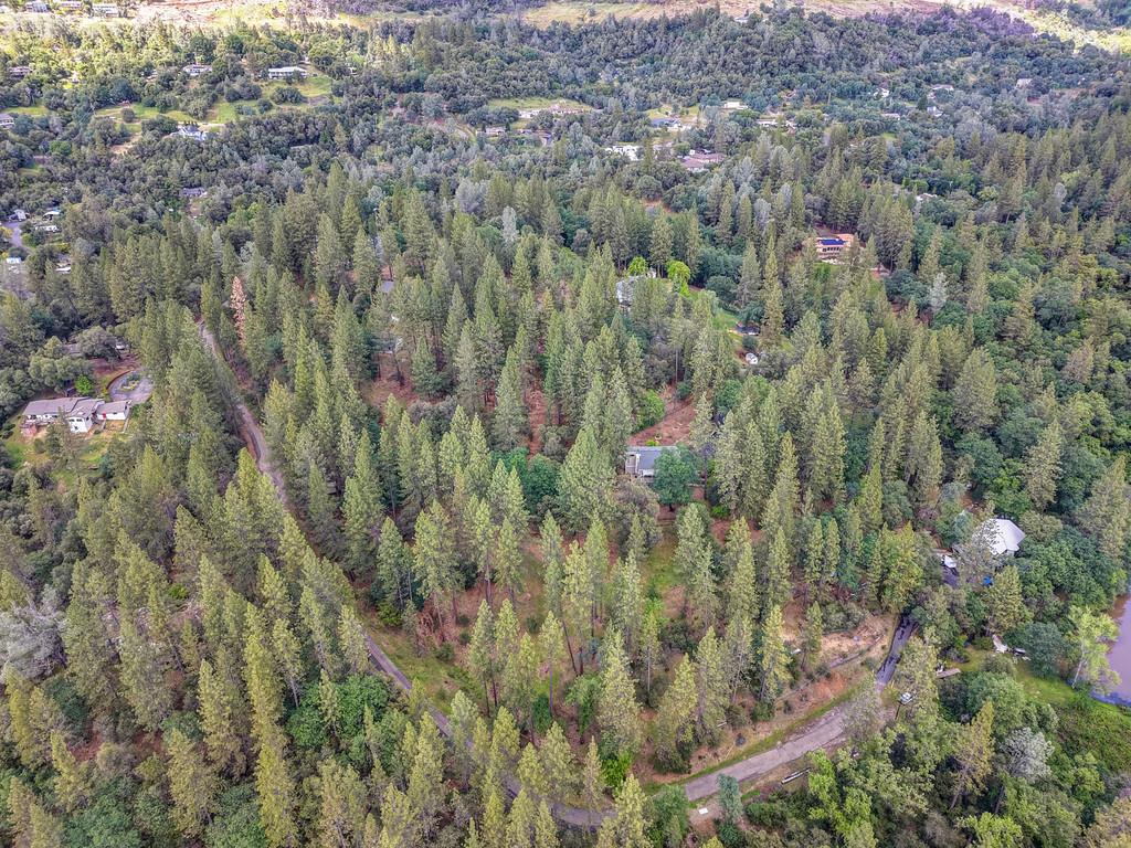 3971 Donner Trail Placerville, CA 95667 - Photo 77 of 78 a view of a forest with a street