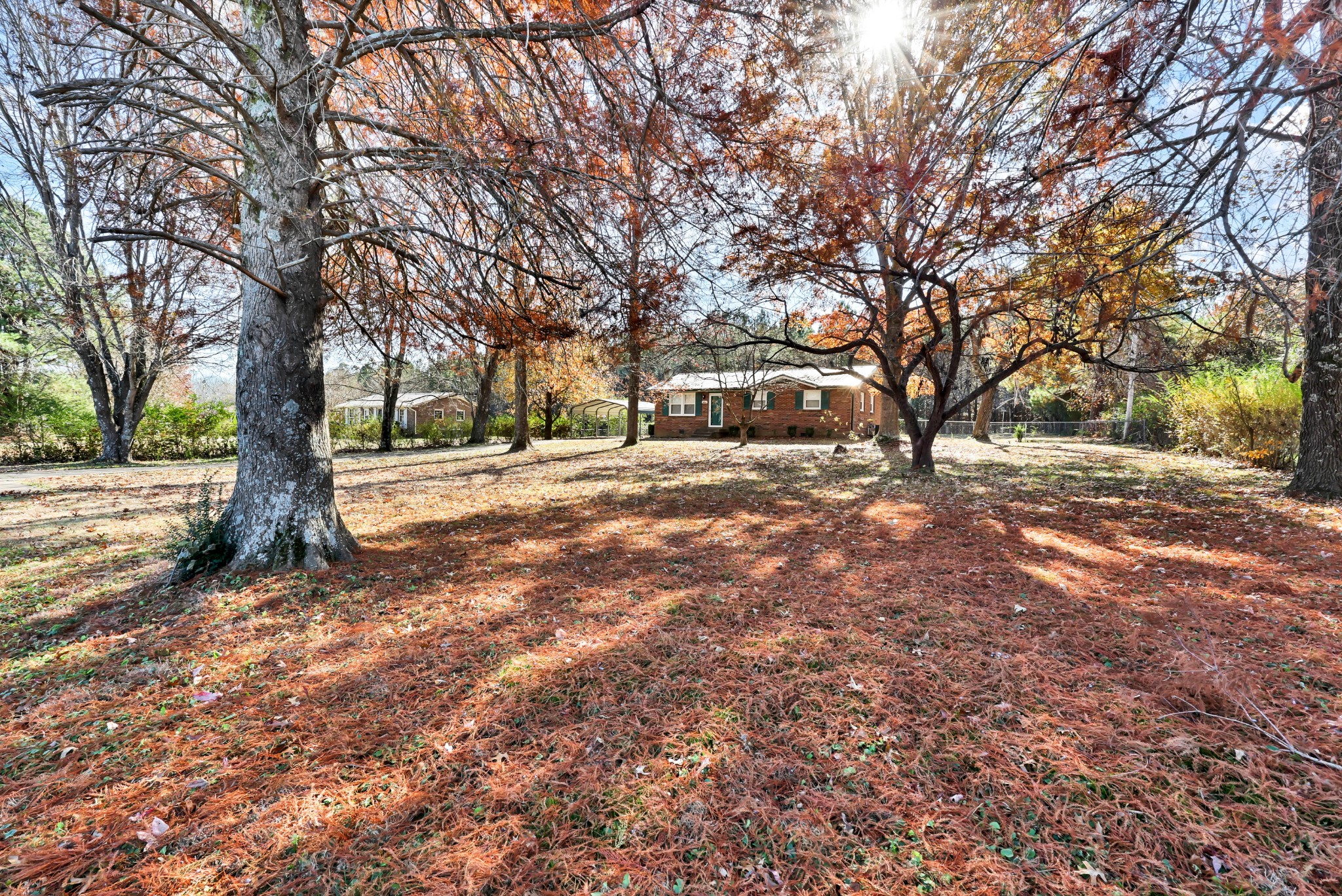 4660 Dover Road Indian Mound, TN 37079 - Photo 27 of 30 a view of a yard with trees