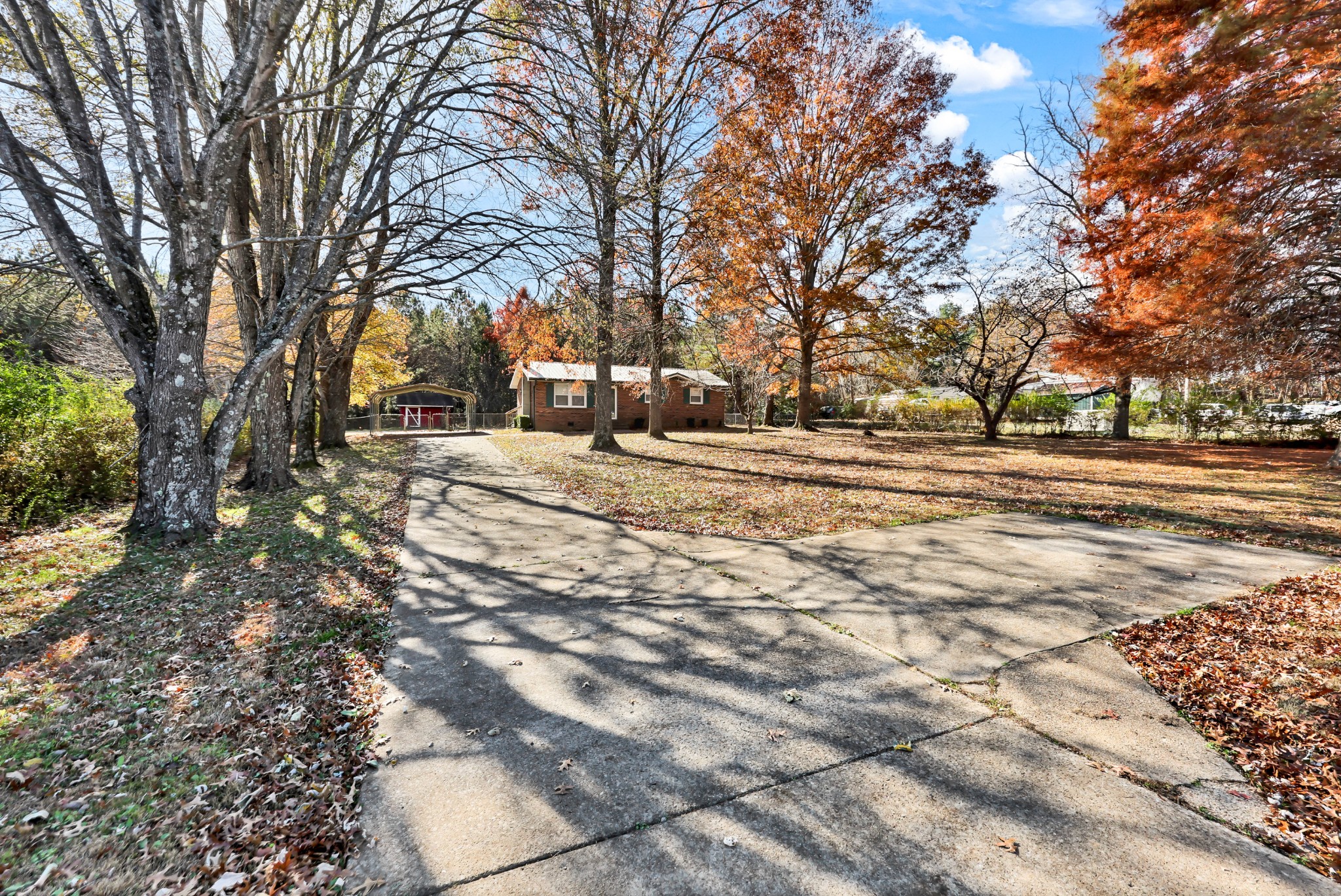 4660 Dover Road Indian Mound, TN 37079 - Photo 29 of 30 a view of a yard with trees