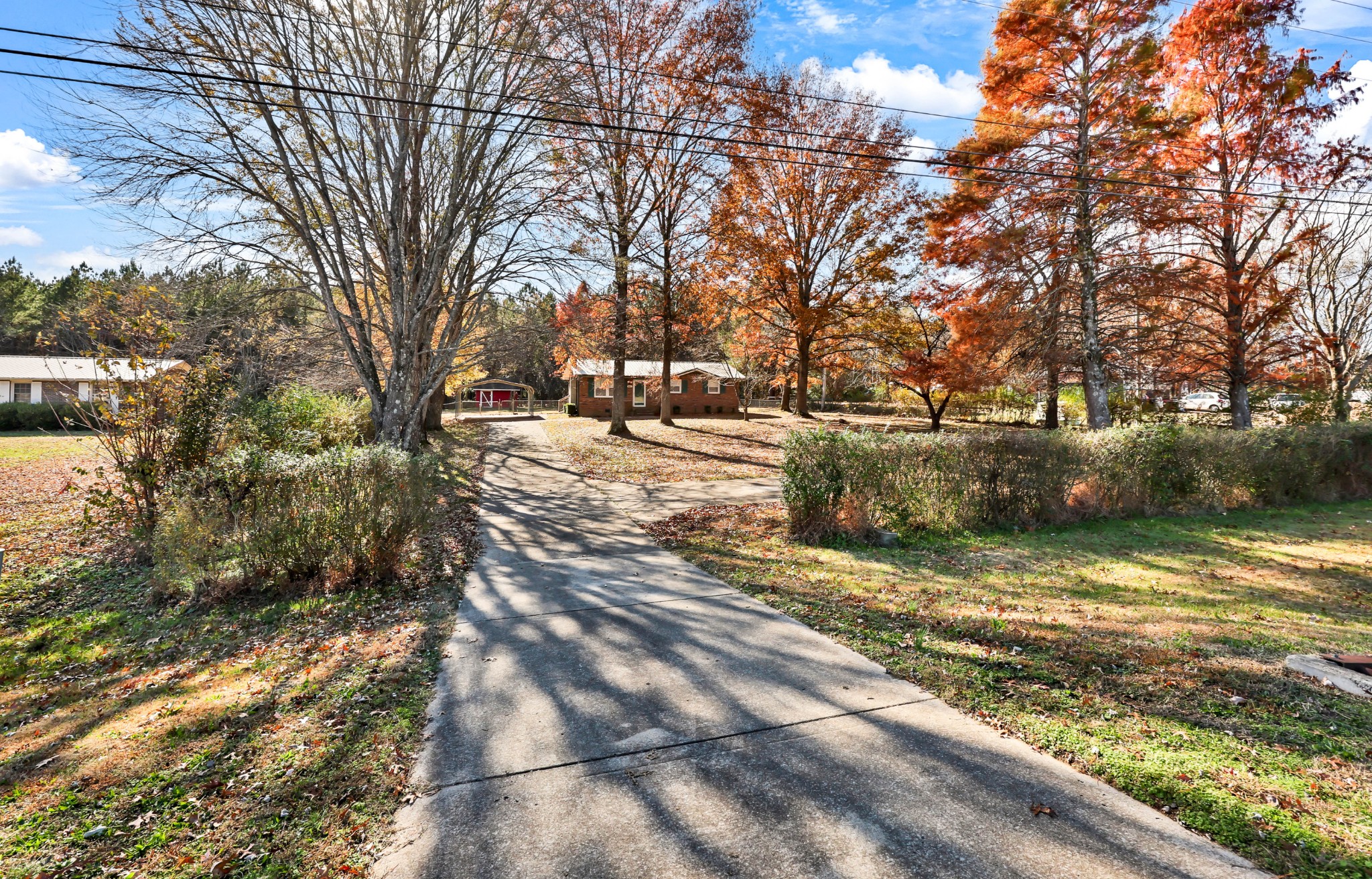 4660 Dover Road Indian Mound, TN 37079 - Photo 30 of 30 a view of a yard with snow on the road