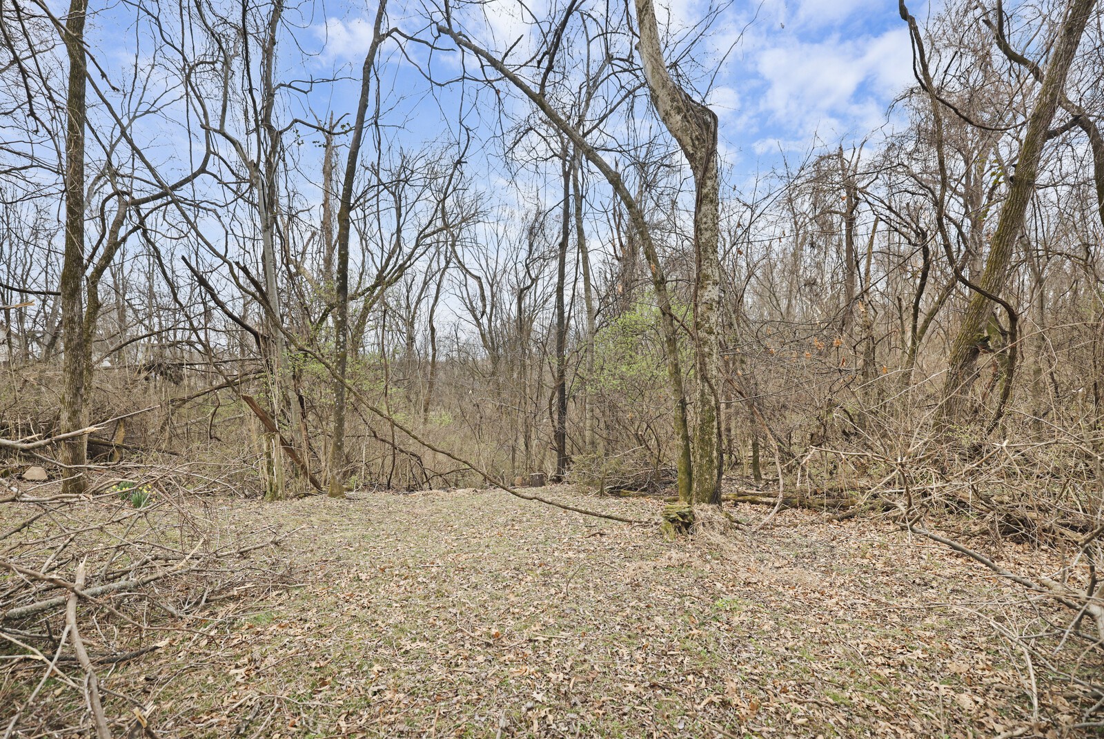 119 Pine Grove Road Mount Juliet, TN 37122 - Photo 35 of 37