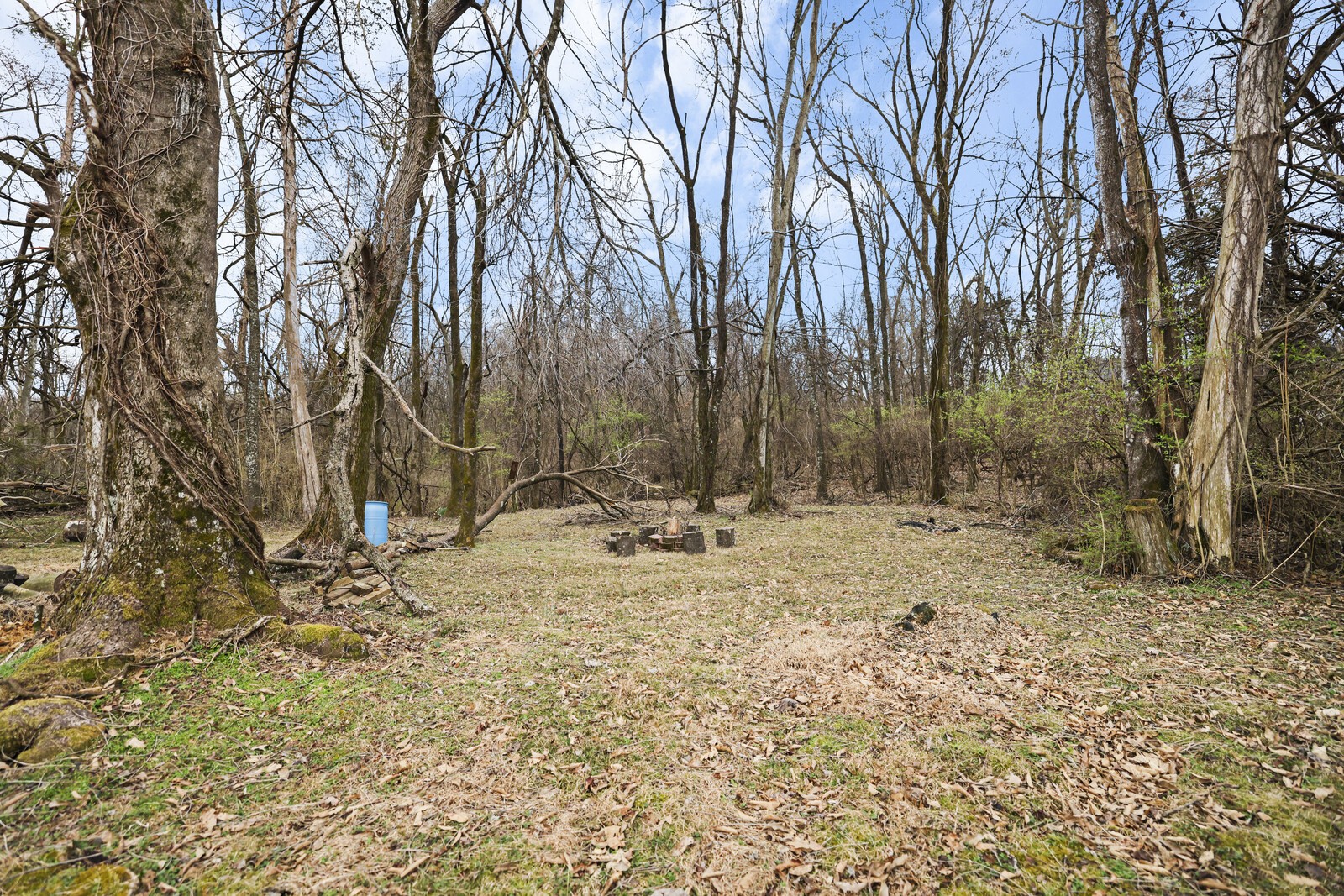119 Pine Grove Road Mount Juliet, TN 37122 - Photo 36 of 37 a view of a yard with snow on the tree