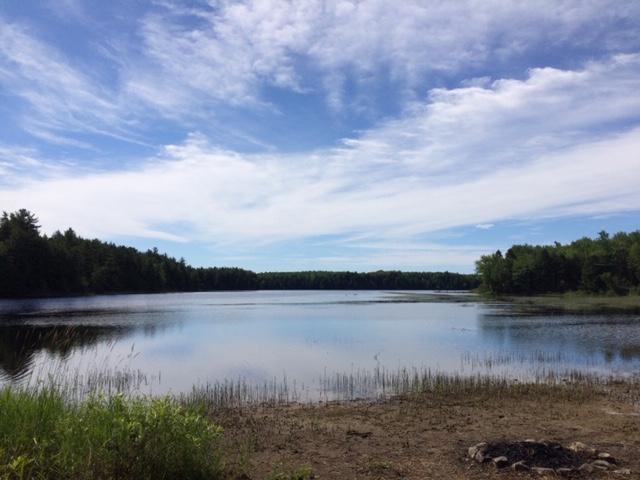 15 Union River Road Mariaville, ME 04605 - Photo 4 of 41 IMG_1341