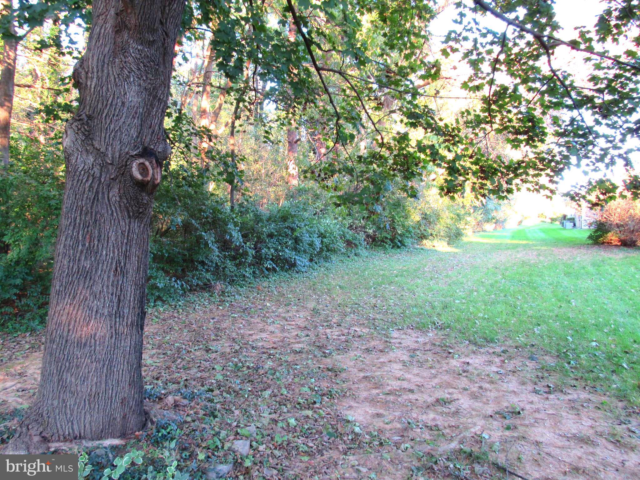 7008 Basswood Road Frederick, MD 21703 - Photo 22 of 26 a view of a yard with a tree