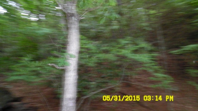 Tbn Peach Bottom Road Independence, VA 24348 - Photo 3 of 5 Gallery Image 3
