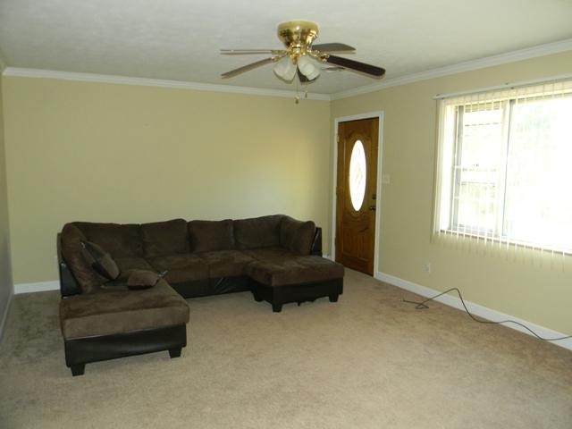 618 Jacobs Road Morristown, TN 37813 - Photo 11 of 20 Gallery Image 11