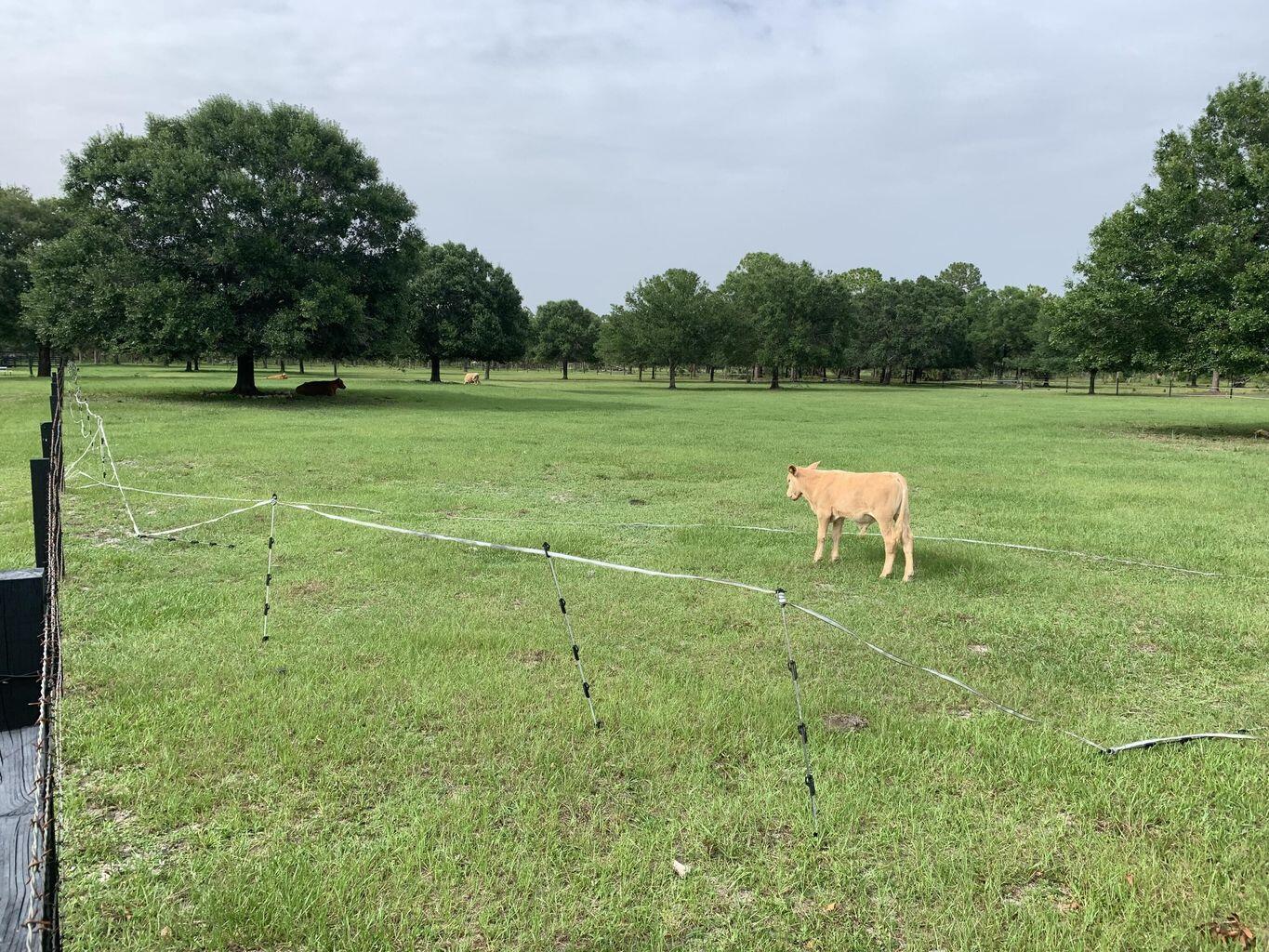 635 North Ffa Road Fort Pierce, FL 34945 - Photo 6 of 12 9