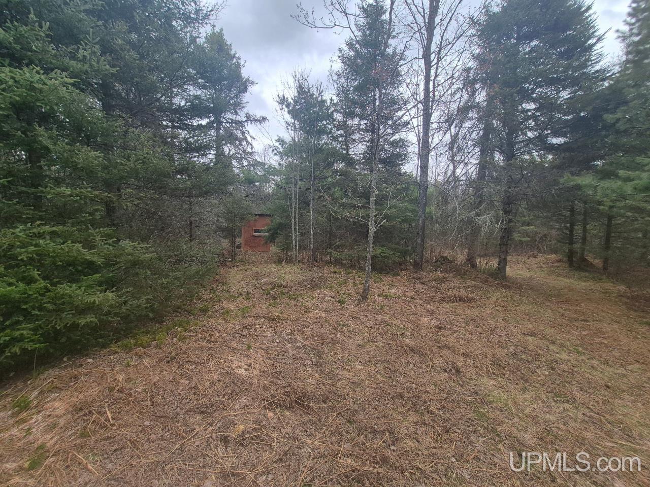 13551 County Road CS Road Ishpeming, MI 49849 - Photo 25 of 40