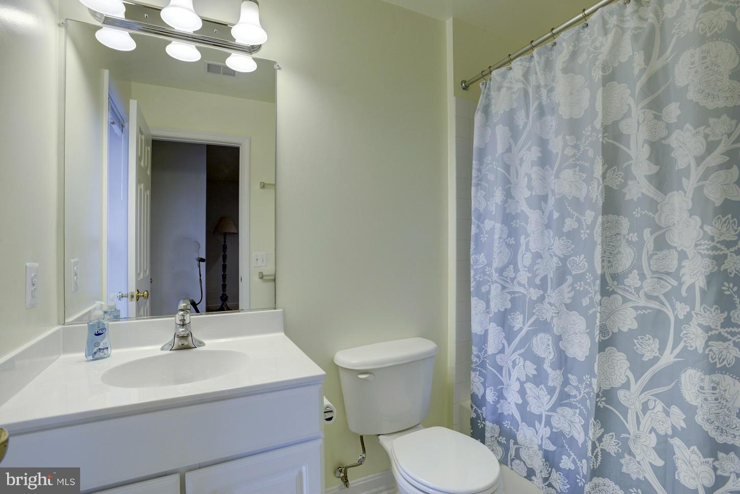 8933 Singleleaf Circle Lorton, VA 22079 - Photo 19 of 30 Bath