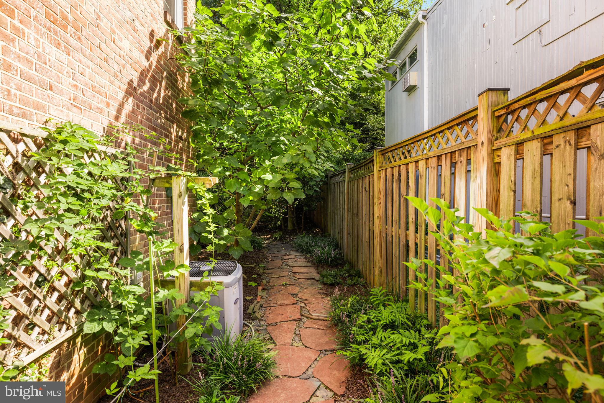 3636 Appleton Street Northwest Washington, DC 20008 - Photo 38 of 48 Walkway to backyard