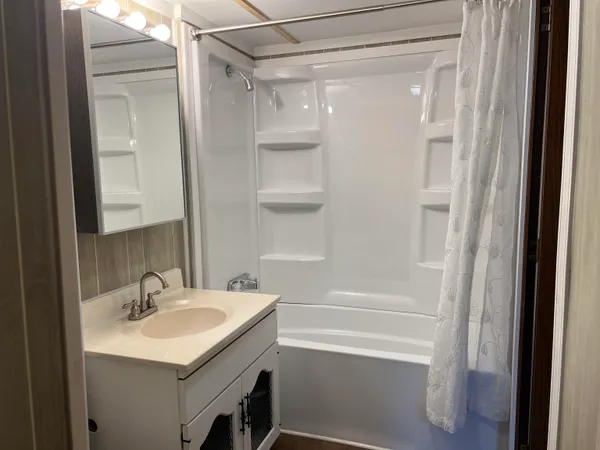 a bathroom with a sink a mirror and a shower