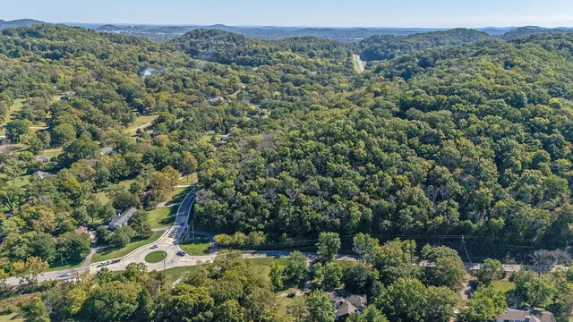 a view of a bunch of trees and bushes