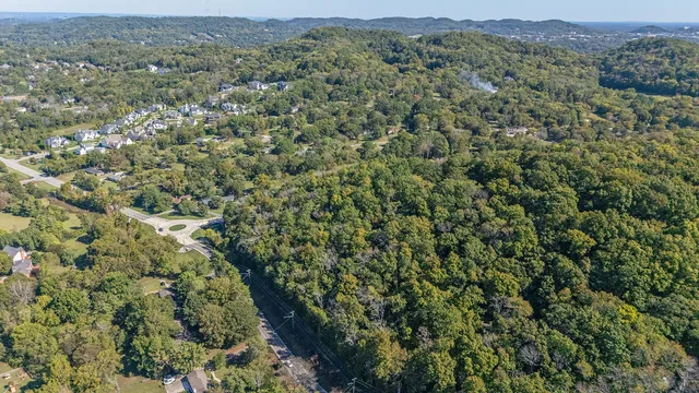 an aerial view of forest