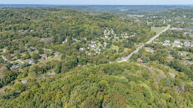 an aerial view of forest