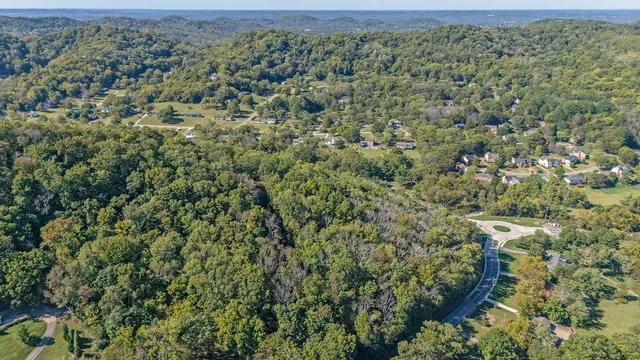 a view of a green field with lots of bushes