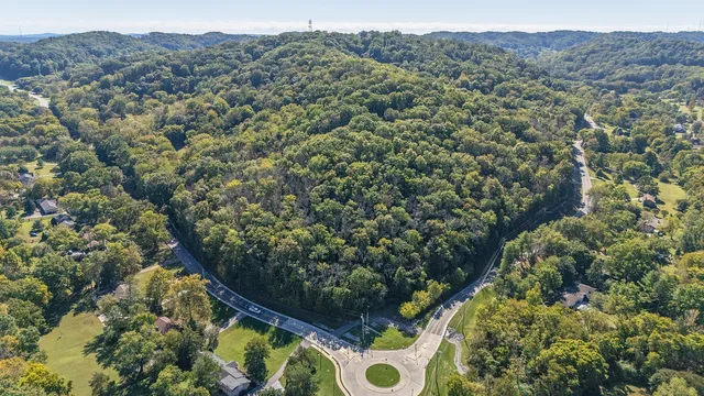 an aerial view of a forest with houses