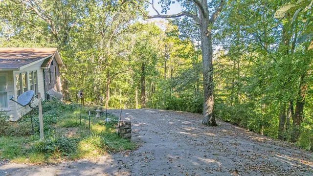 a view of backyard with green space