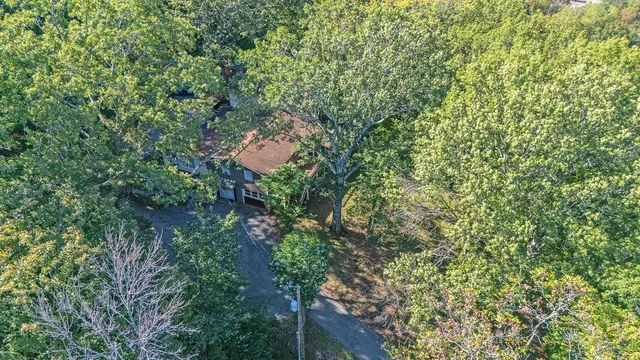 a backyard of a house with lots of trees
