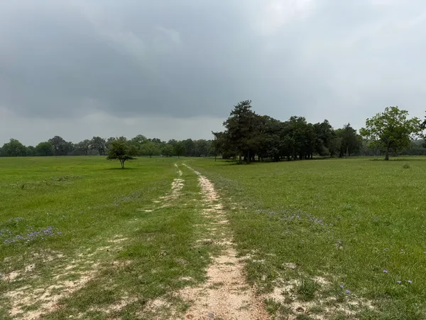 $344,000 | 5719-4 Farm To Market 2238 Schulenburg Tx 78956, Schulenburg, TX 78956
