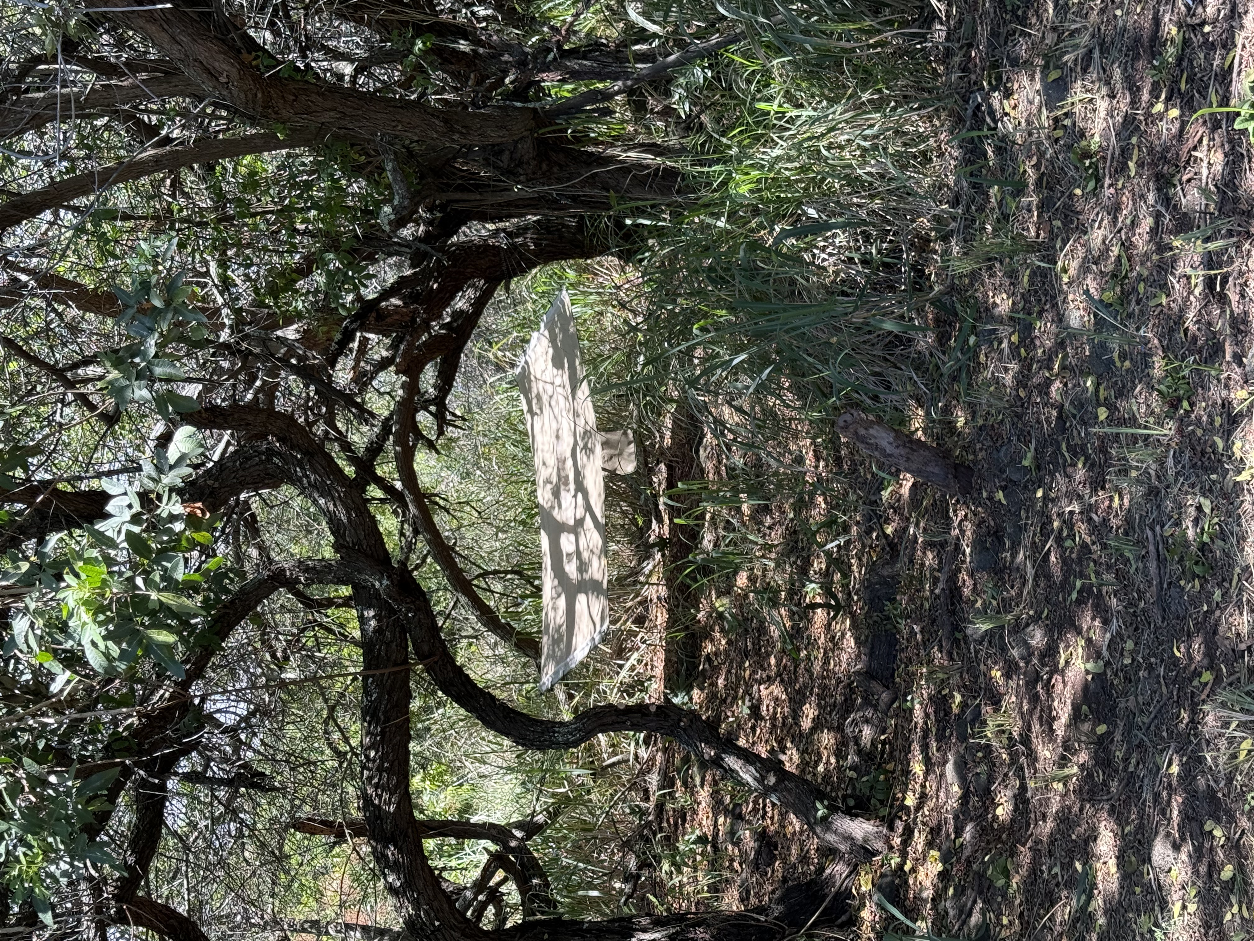 94 Pele Street Naalehu, HI 96772 - Photo 18 of 20