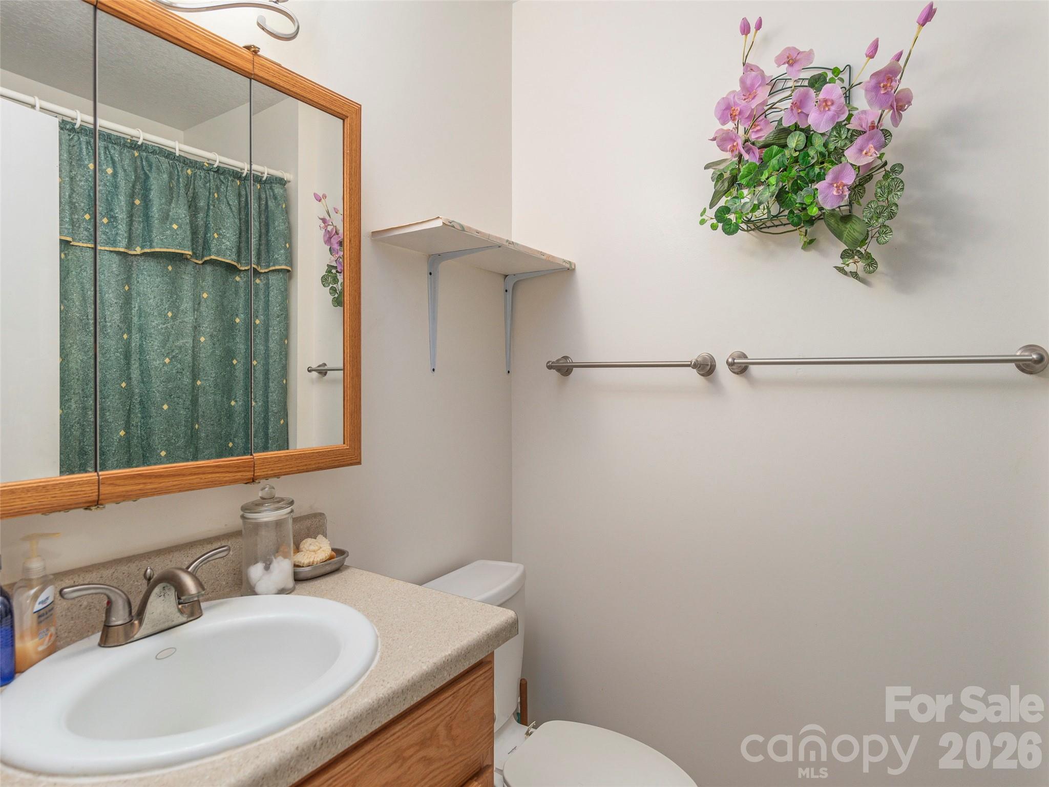 1120 Jacobs Branch Road Franklin, NC 28734 - Photo 17 of 36 a bathroom with a sink mirror and toilet