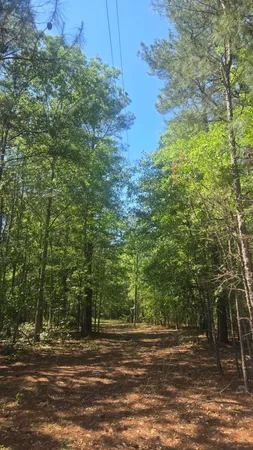 $75,000 | 415 Pearson Road, Sumter, SC 29150