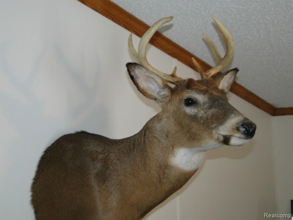 5900 Fostoria Road Columbiaville, MI 48421 - Photo 18 of 28 Deer Taken on Property