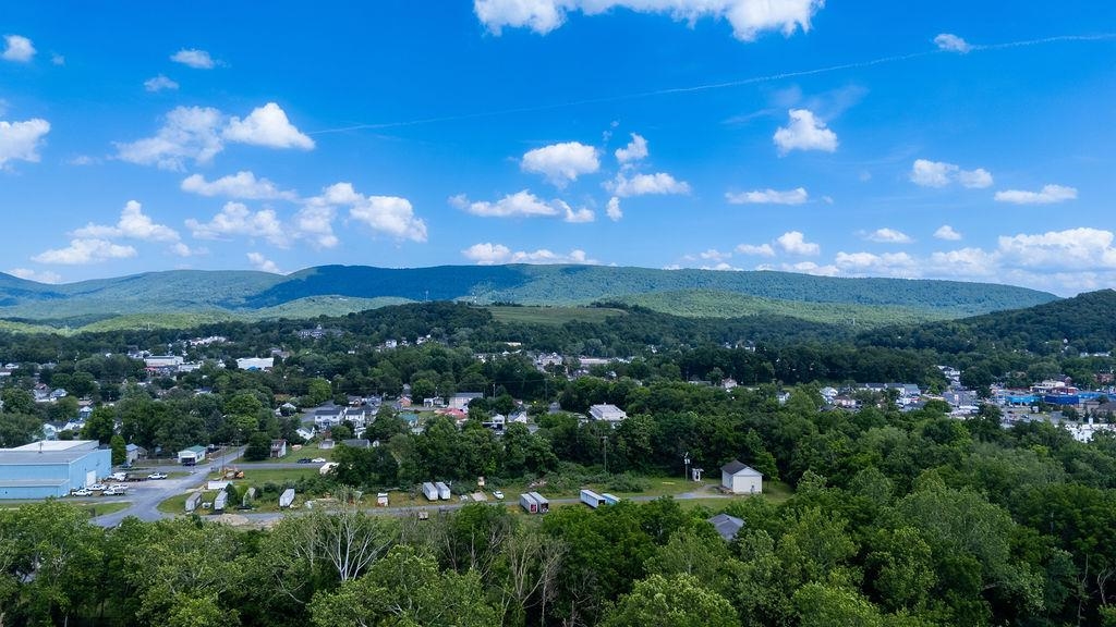 280 Port Republic Road Waynesboro, VA 22980 - Photo 43 of 53