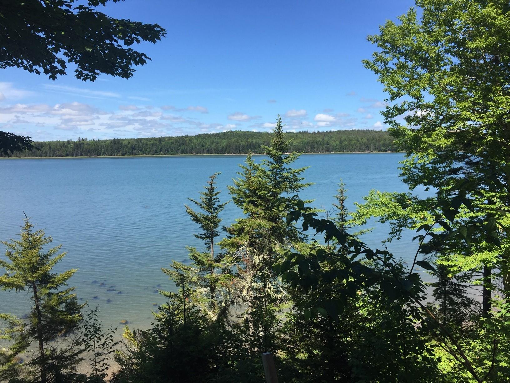 Lot 38 Lot Road Jonesport, ME 04649 - Photo 10 of 10 water view