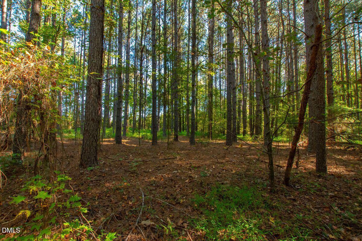 268 Poole Road East New Hill, NC 27562 - Photo 19 of 21 photo_offline_020