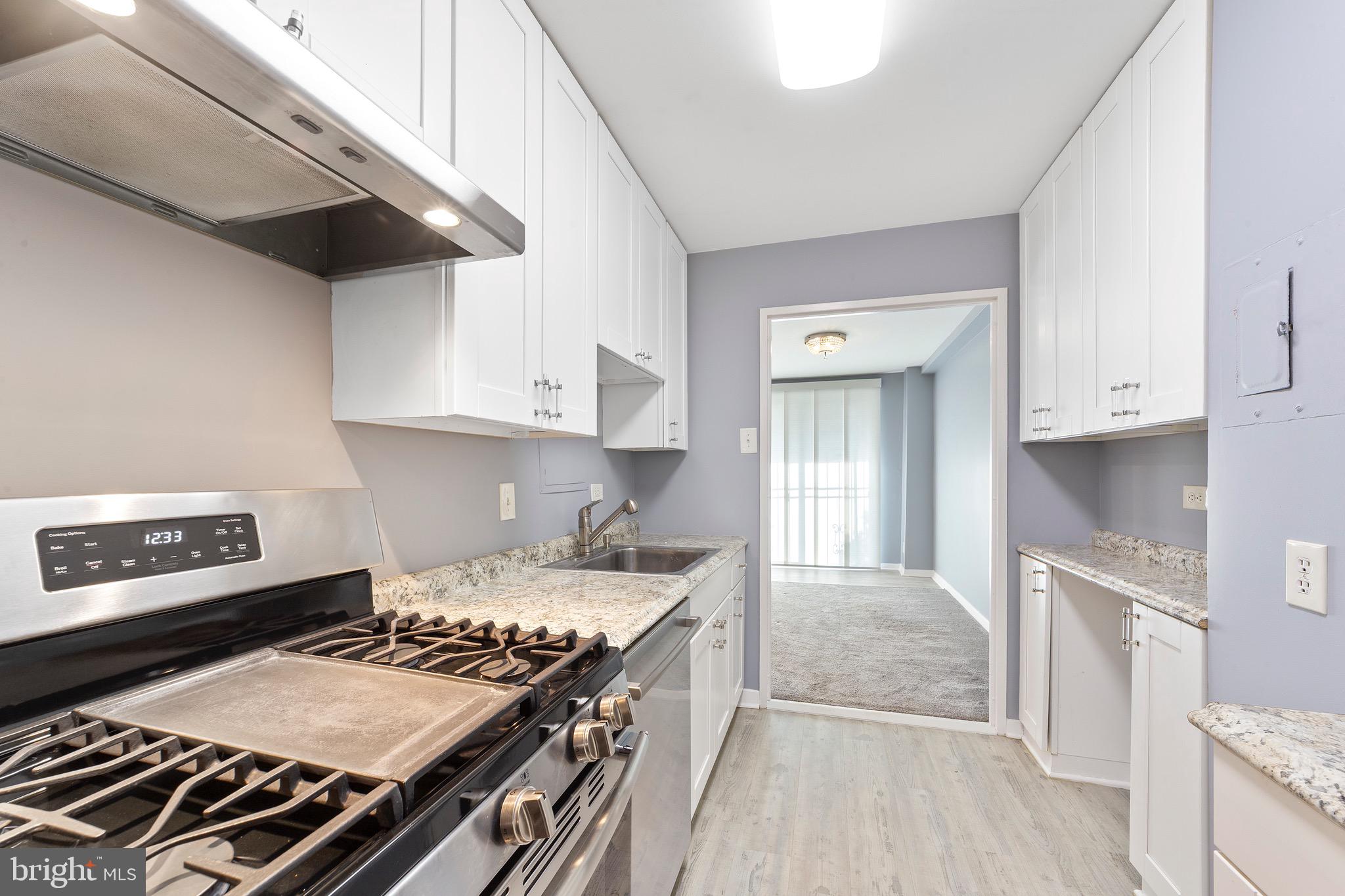 1900 Lyttonsville Road, Unit 111 Silver Spring, MD 20910 - Photo 13 of 21 Kitchen