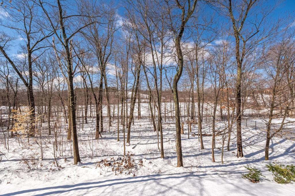 176 Carter Field Road North Andover, MA 01845 - Photo 40 of 41 Gallery Image 40
