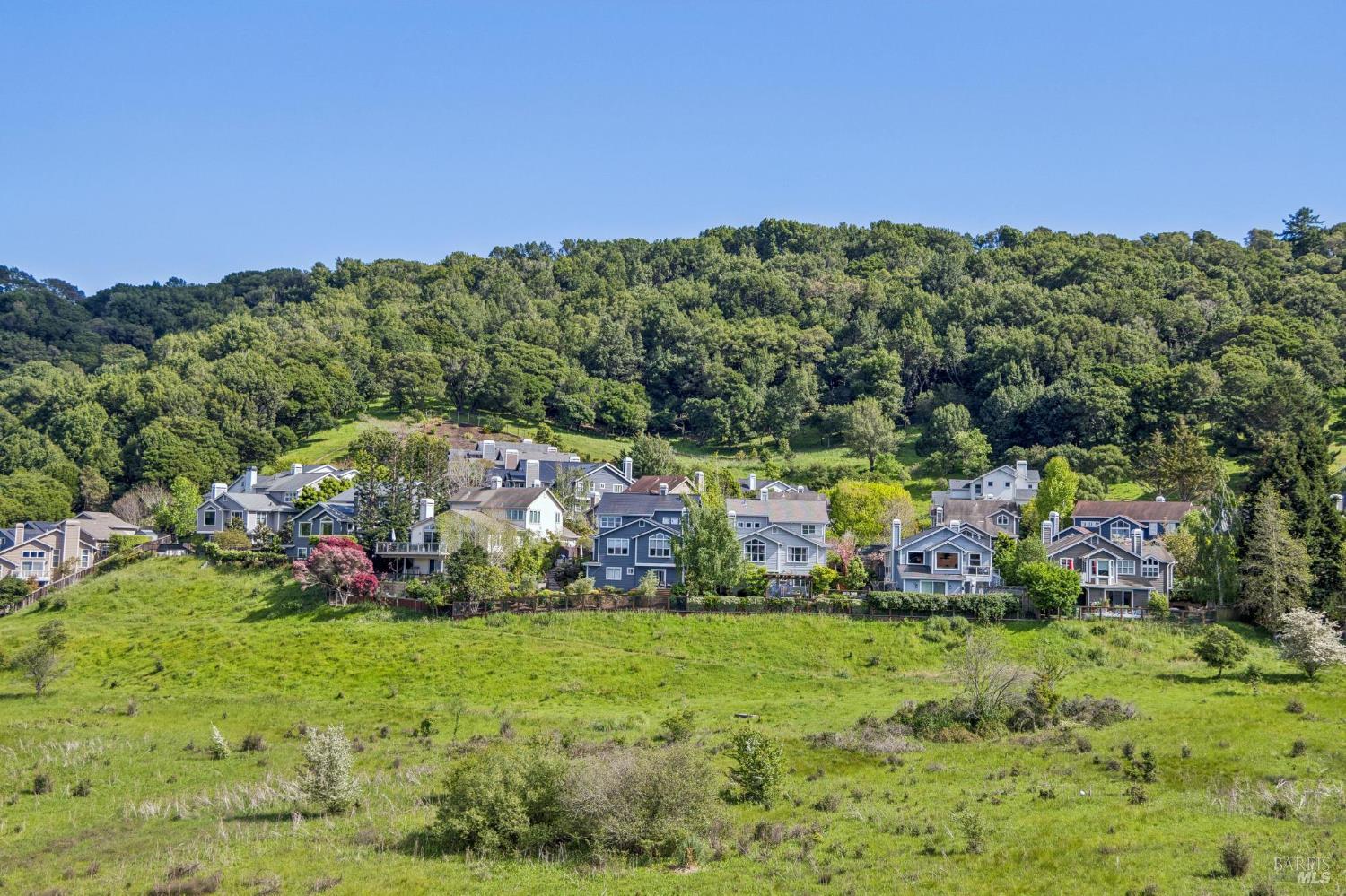 4 Meadow Ridge Drive Corte Madera, CA 94925 - Photo 38 of 52