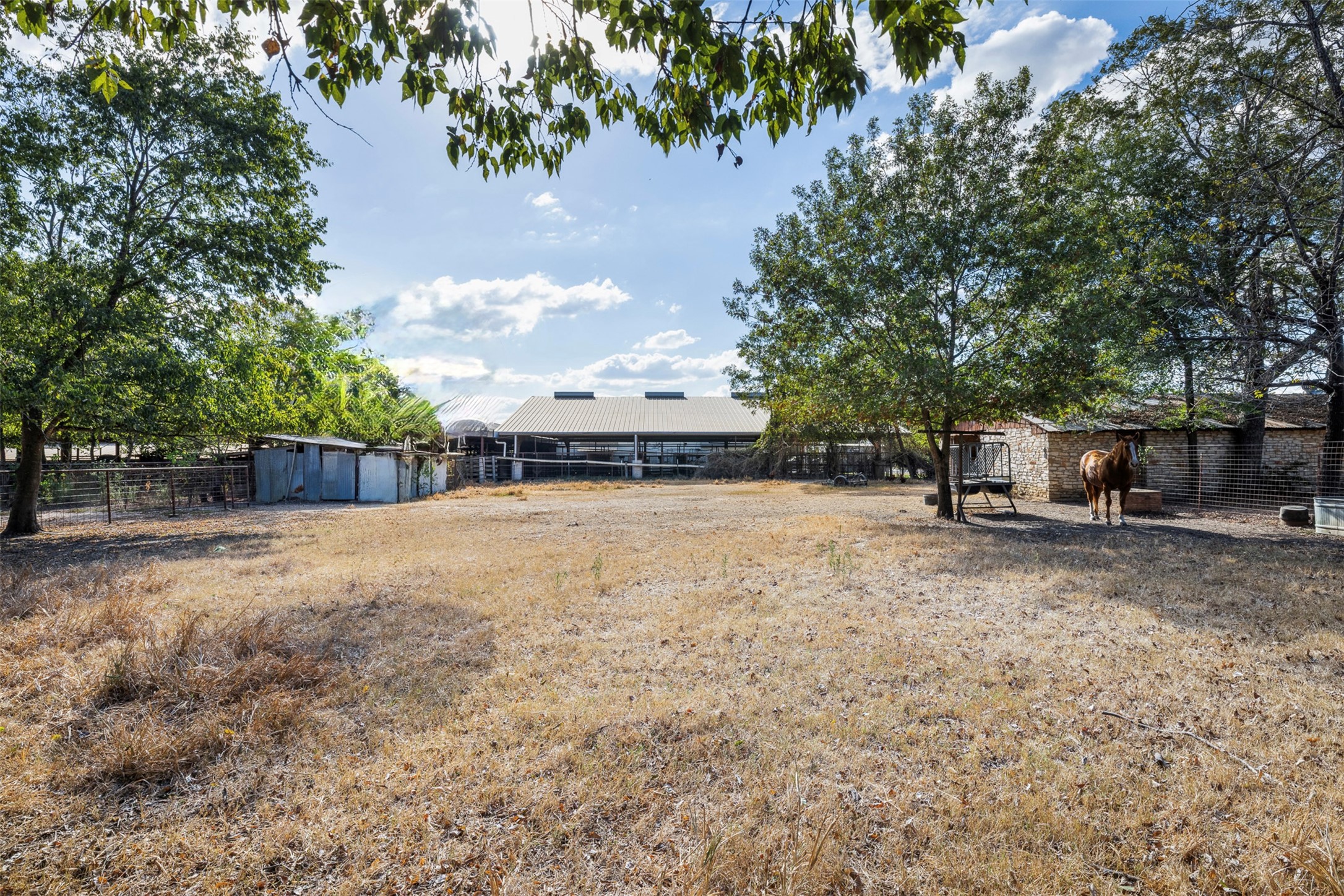 517 First Street Lexington, TX 78947 - Photo 22 of 37 a backyard of a house with lots of green space