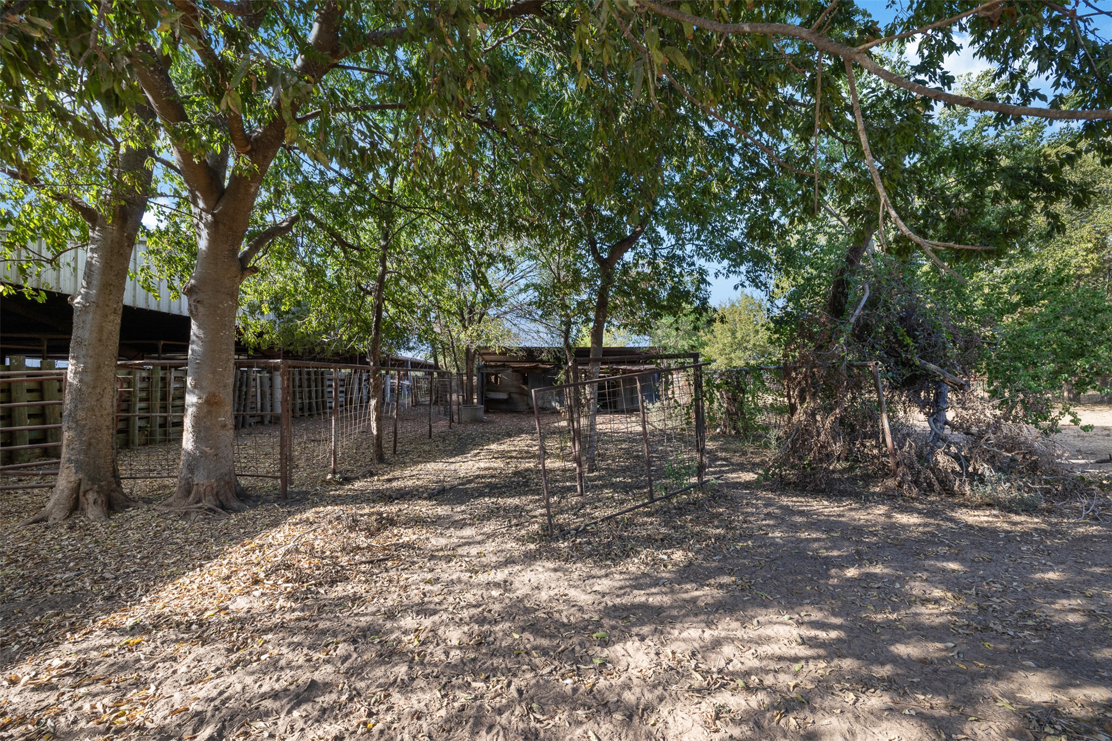 517 First Street Lexington, TX 78947 - Photo 23 of 37 a view of a backyard with trees