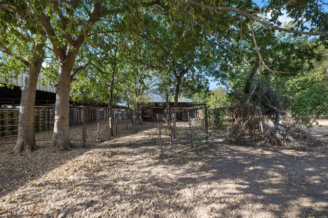 a view of a backyard with large trees and wooden fence
